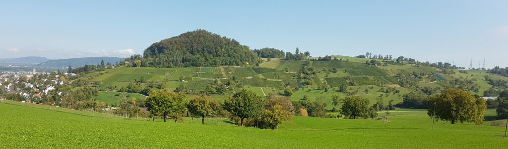 Rebberge am Wartenberg in Muttenz